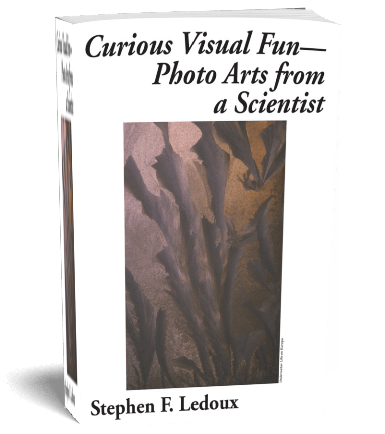 Curious Visual Fun - Arts from a Scientist by Stephen Ledoux